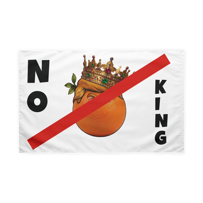 NO KINGS - Flag
