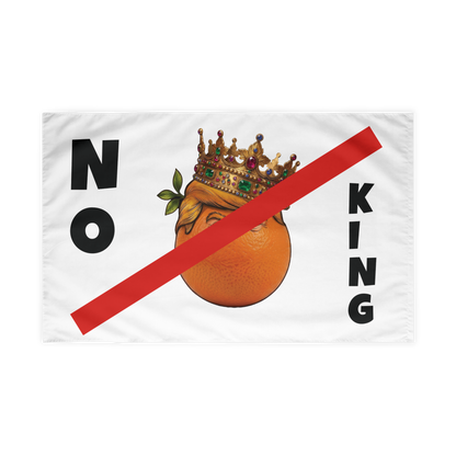 NO KINGS - Flag