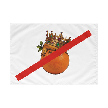 NO KINGS - Flag
