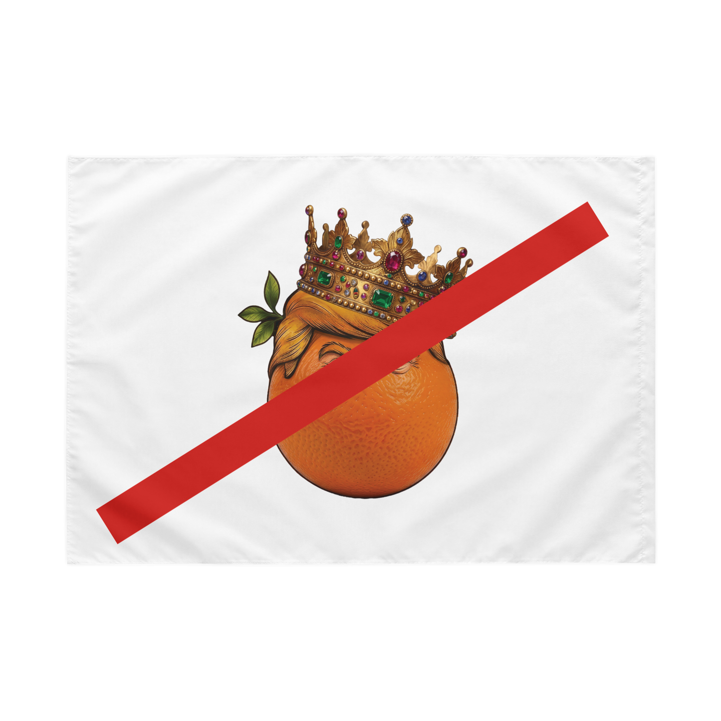 NO KINGS - Flag